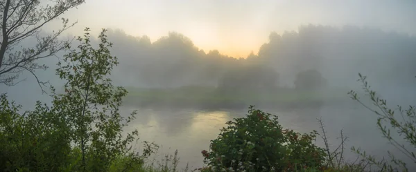 Obrázek ze série nature — Stock fotografie