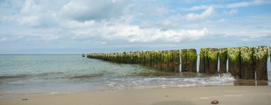 görüntü doğa serisi