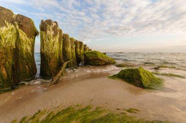 görüntü doğa serisi