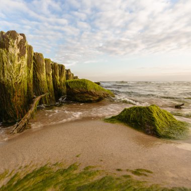 görüntü doğa serisi