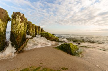 görüntü doğa serisi