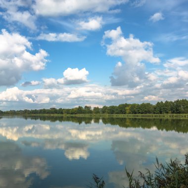 görüntü doğa serisi