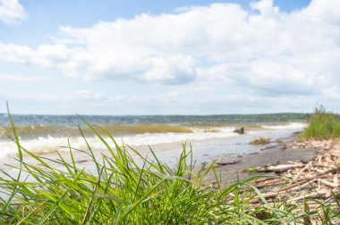 görüntü doğa serisi