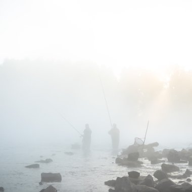 görüntü doğa serisi