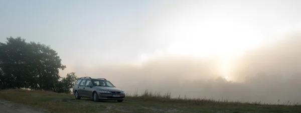 Obrázek ze série nature — Stock fotografie