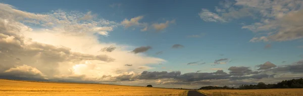 Obrázek ze série nature — Stock fotografie