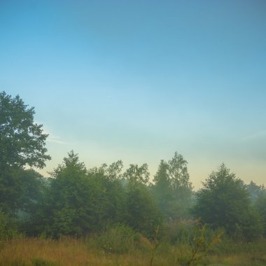 görüntü doğa serisi