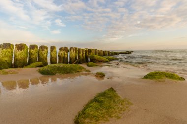 görüntü doğa serisi