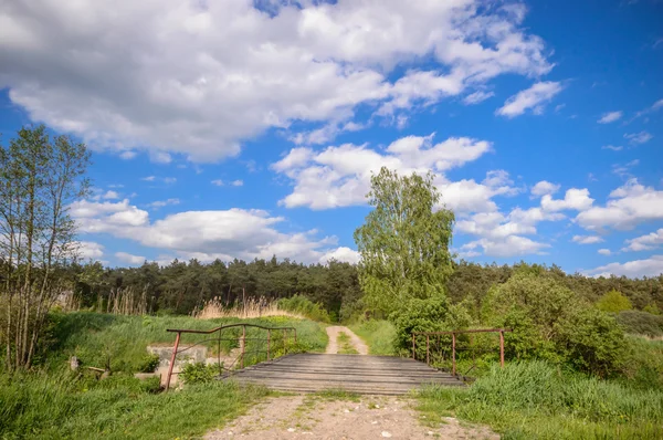 Immagine dalla serie natura — Foto Stock