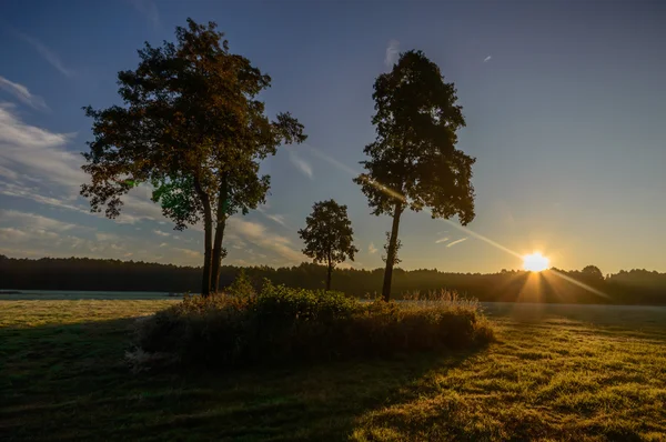 Bild från naturen-serien — Stockfoto