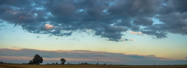 Immagine dalla serie natura — Foto Stock