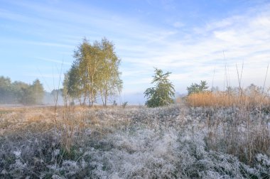 görüntü doğa serisi