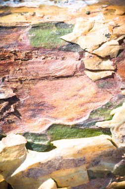 görüntü doğa serisi