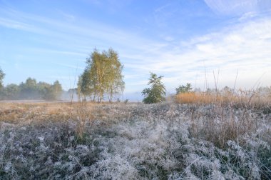 görüntü doğa serisi