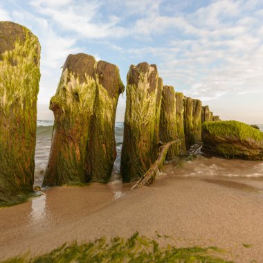 görüntü doğa serisi
