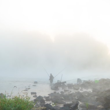 görüntü doğa serisi