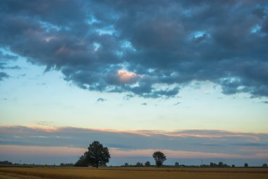 görüntü doğa serisi