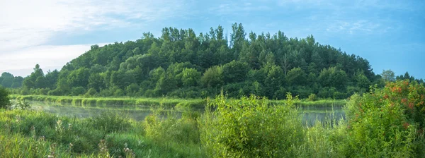 Beeld uit natuur-serie — Stockfoto