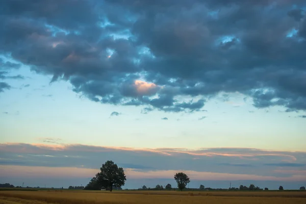 Immagine dalla serie natura — Foto Stock