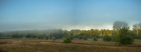 Immagine dalla serie natura — Foto Stock