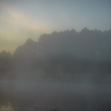 görüntü doğa serisi