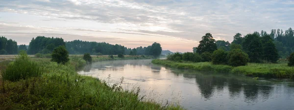 Bild från naturen-serien — Stockfoto