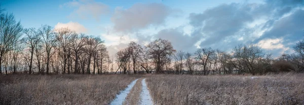 Obrázek ze série nature — Stock fotografie