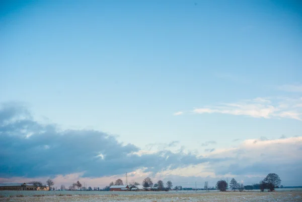 Immagine dalla serie natura — Foto Stock