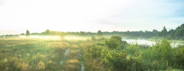 görüntü doğa serisi