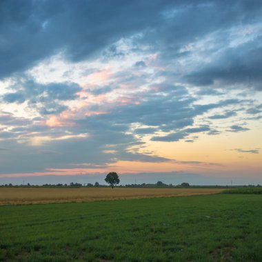 görüntü doğa serisi