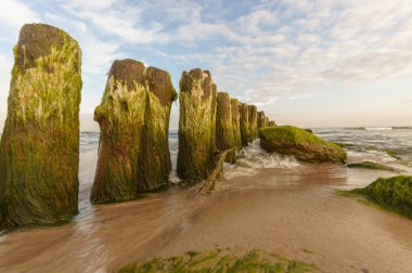 görüntü doğa serisi