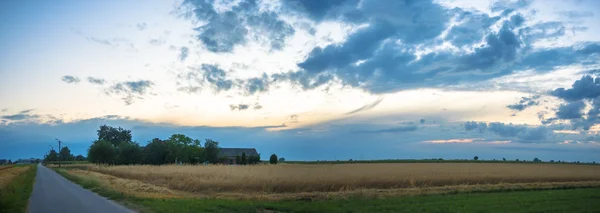 Obrázek ze série nature — Stock fotografie