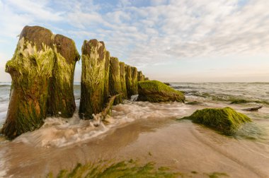 görüntü doğa serisi