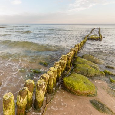 görüntü doğa serisi