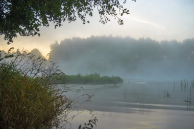 görüntü doğa serisi