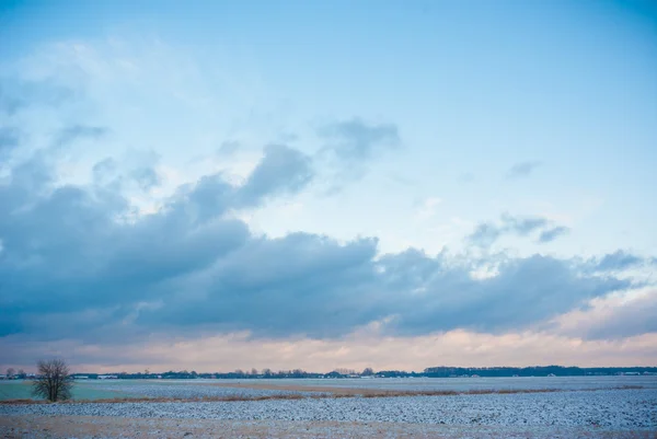 Immagine dalla serie natura — Foto Stock