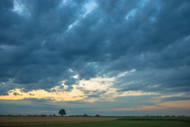 görüntü doğa serisi