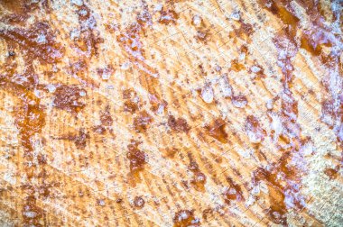 görüntü doğa serisi