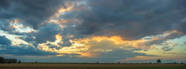 Immagine dalla serie natura — Foto Stock