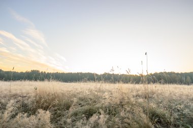 görüntü doğa serisi