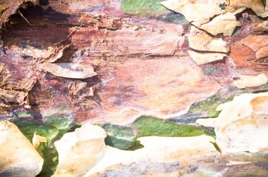 görüntü doğa serisi