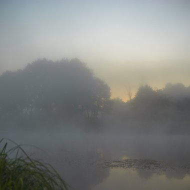 görüntü doğa serisi