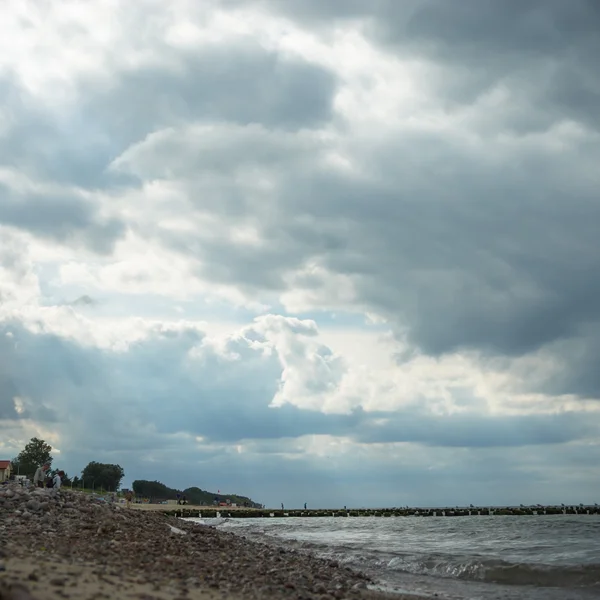 Obraz z serii natura — Zdjęcie stockowe