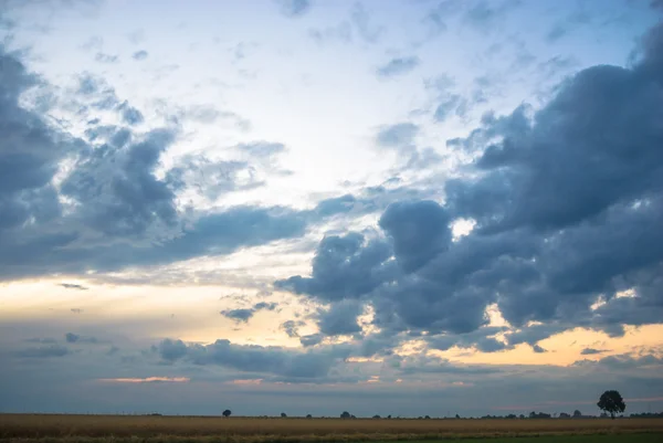 Obrázek ze série nature — Stock fotografie