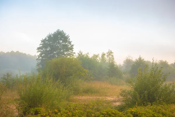 Obrázek ze série nature — Stock fotografie