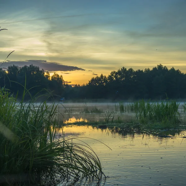 Obraz z serii natura — Zdjęcie stockowe