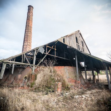 görüntü doğa serisi