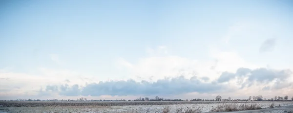 Obraz z serii natura — Zdjęcie stockowe