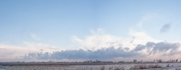 Obraz z serii natura — Zdjęcie stockowe