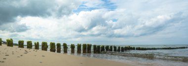 görüntü doğa serisi